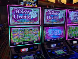 Struktur promosi togel123 menampilkan bonus, cashback, dan tingkatan loyalitas